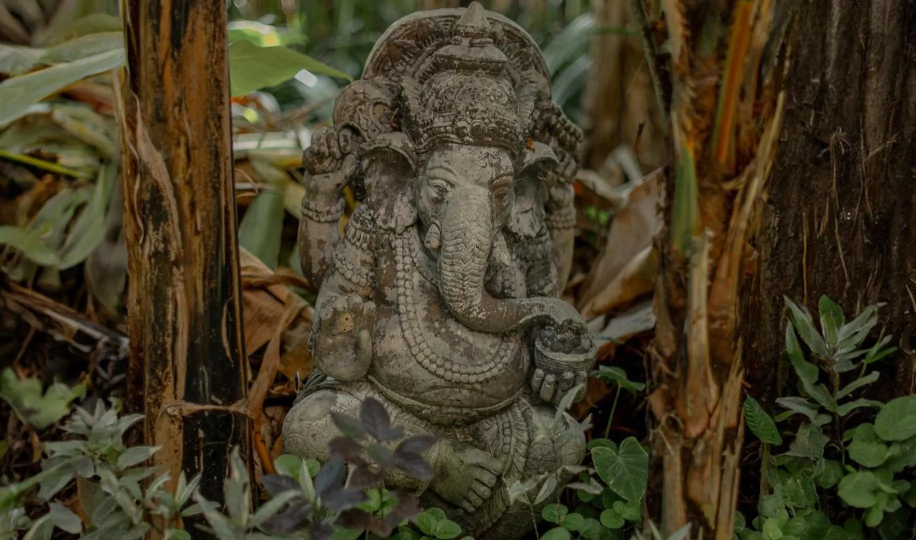 Philosopher Villa Ubud  0*, Ubud (Bali)